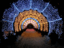 Светодиодная арка-тоннель "Звездное небо" 3 х 20 x 2,5 м IP65