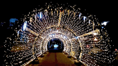 Светодиодная арка-тоннель "Звездное небо" 3 х 20 x 2,5 м